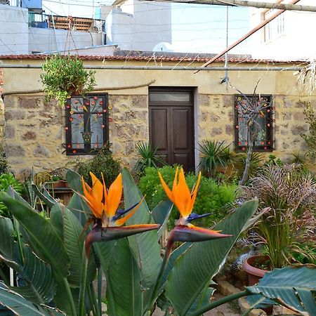 Mystery Garden Guest House Фамагуста Экстерьер фото