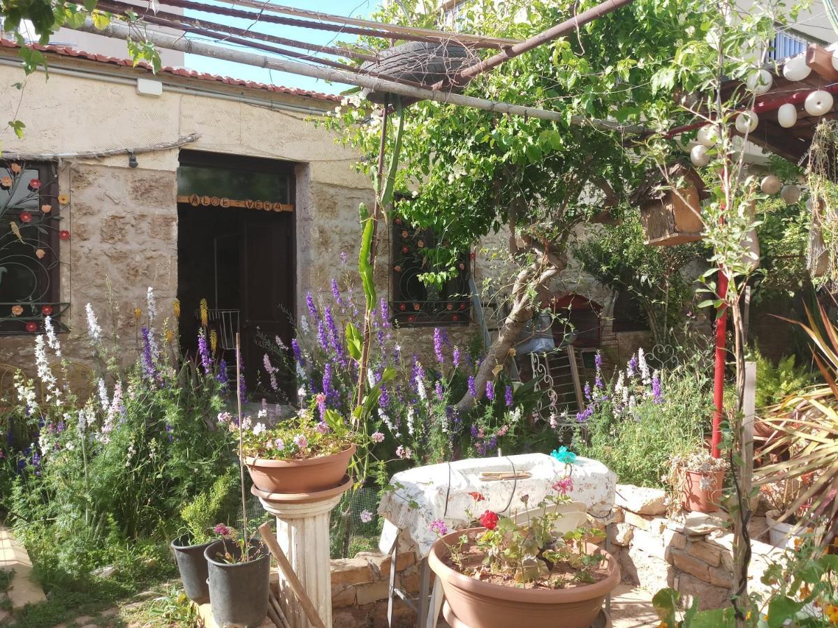 Mystery Garden Guest House Фамагуста Экстерьер фото