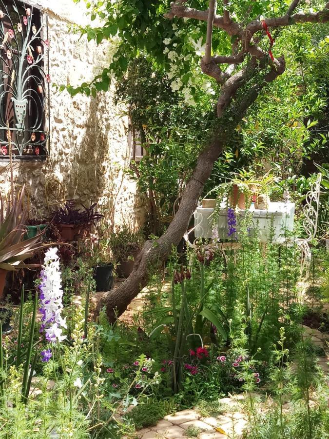Mystery Garden Guest House Фамагуста Экстерьер фото