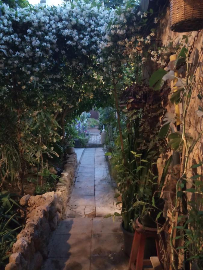 Mystery Garden Guest House Фамагуста Экстерьер фото