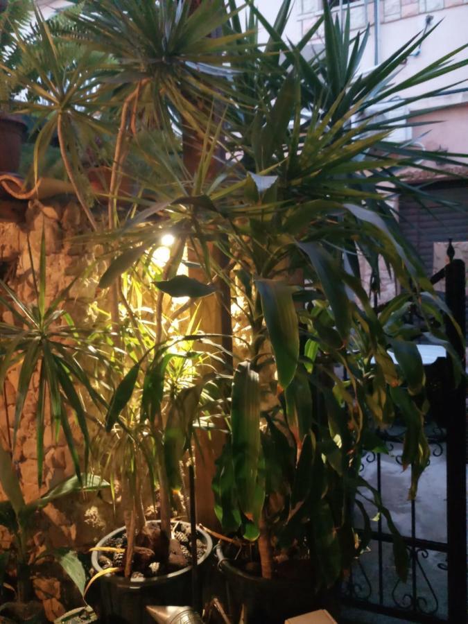 Mystery Garden Guest House Фамагуста Экстерьер фото