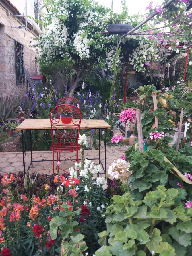 Mystery Garden Guest House Фамагуста Экстерьер фото