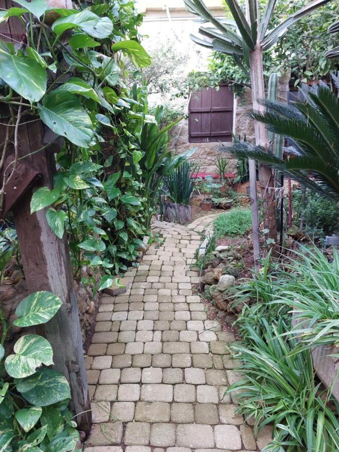 Mystery Garden Guest House Фамагуста Экстерьер фото