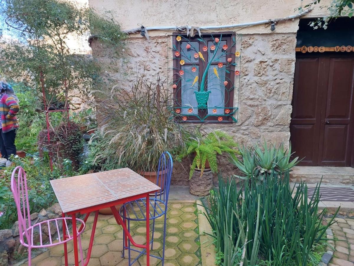 Mystery Garden Guest House Фамагуста Экстерьер фото