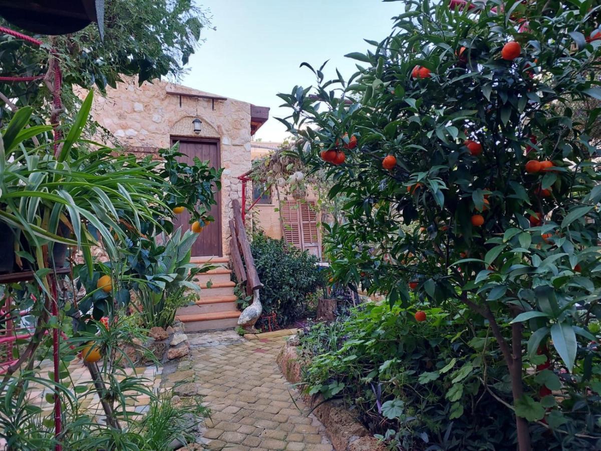 Mystery Garden Guest House Фамагуста Экстерьер фото