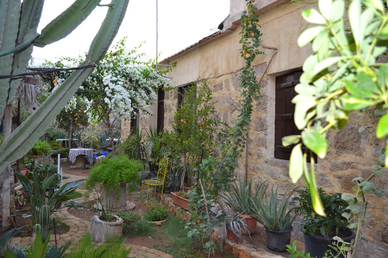 Mystery Garden Guest House Фамагуста Экстерьер фото