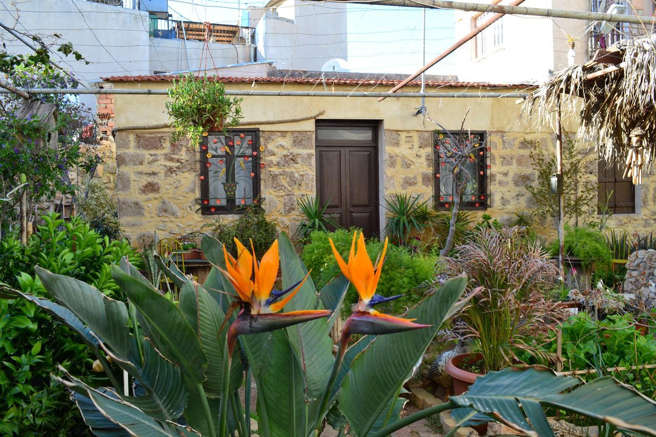 Mystery Garden Guest House Фамагуста Экстерьер фото