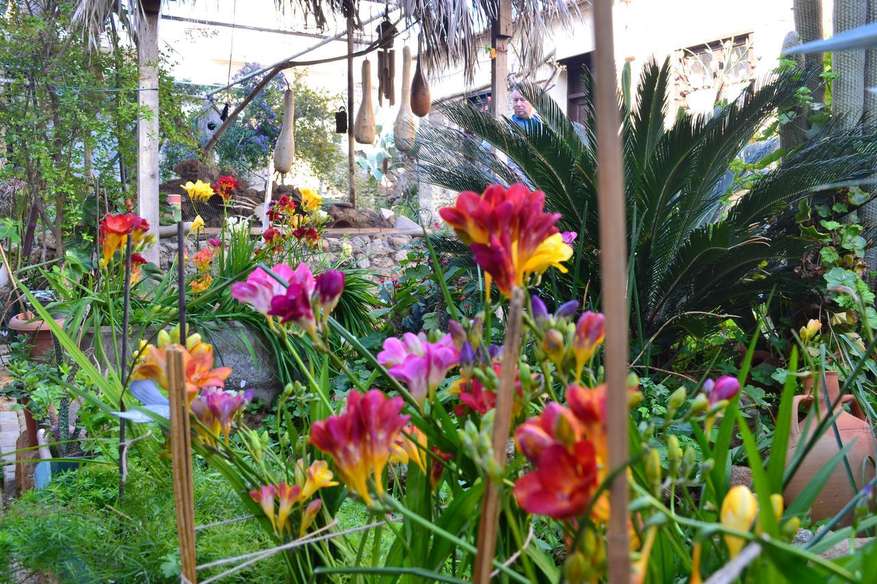 Mystery Garden Guest House Фамагуста Экстерьер фото
