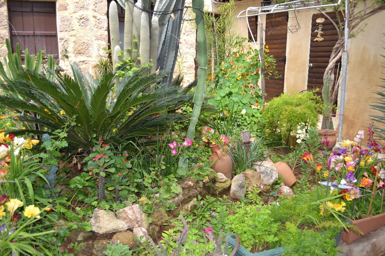Mystery Garden Guest House Фамагуста Экстерьер фото