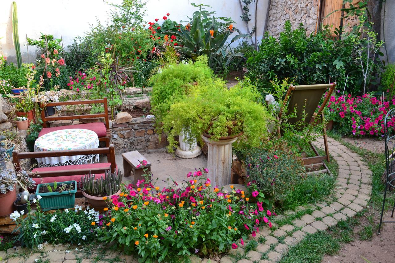 Mystery Garden Guest House Фамагуста Экстерьер фото