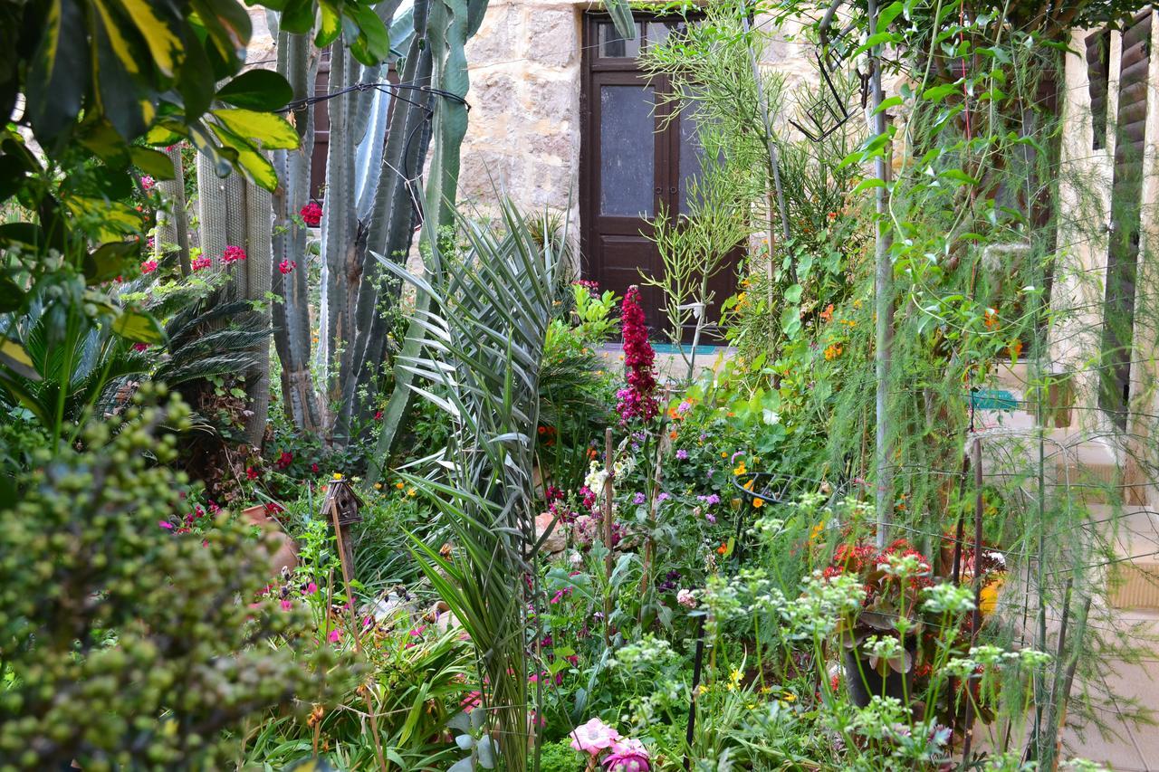 Mystery Garden Guest House Фамагуста Экстерьер фото