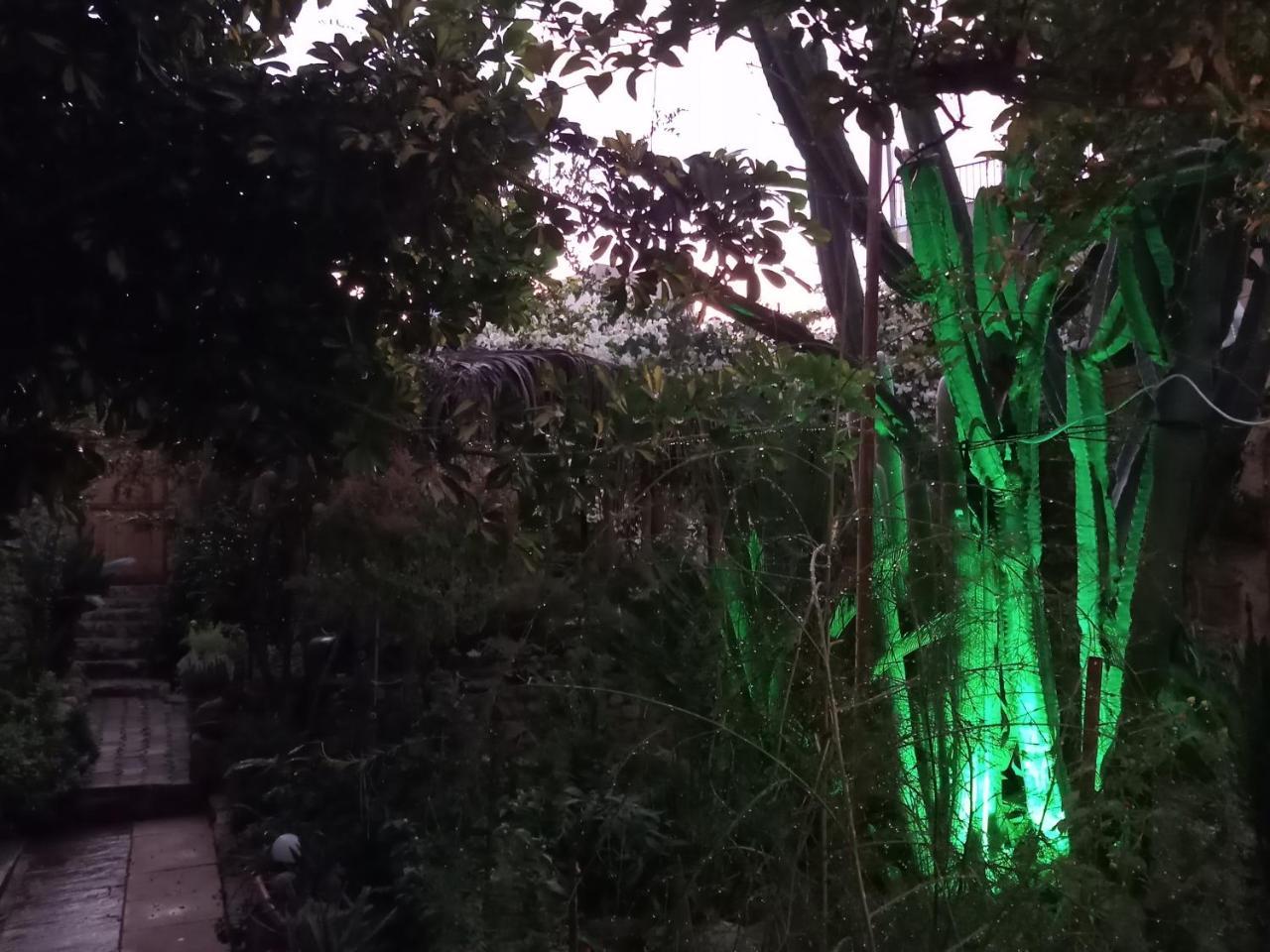 Mystery Garden Guest House Фамагуста Экстерьер фото