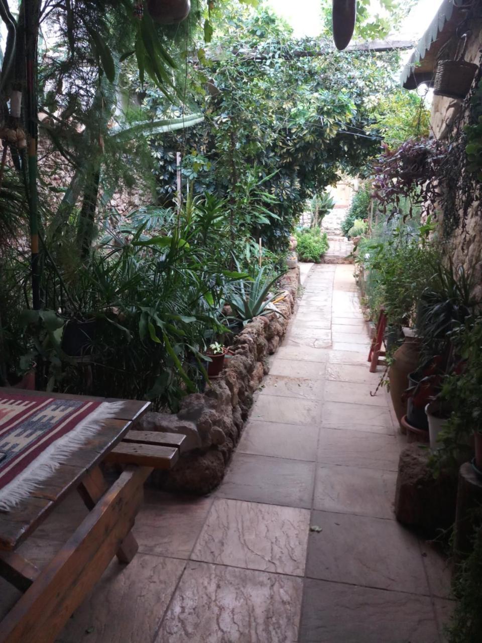 Mystery Garden Guest House Фамагуста Экстерьер фото