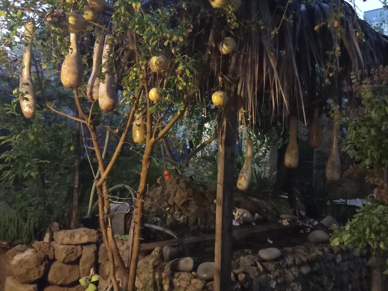 Mystery Garden Guest House Фамагуста Экстерьер фото