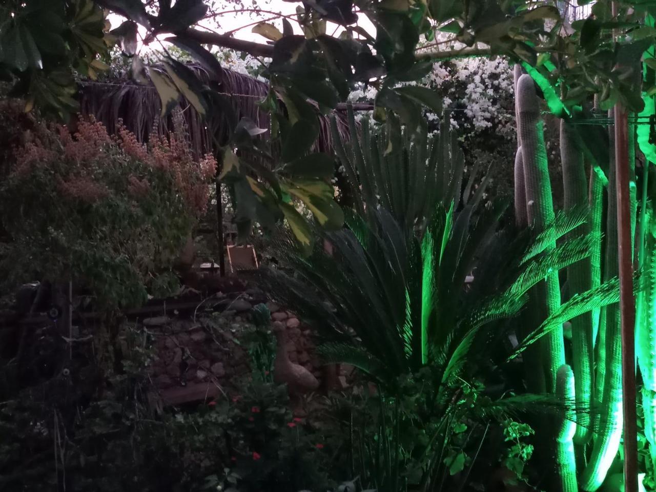 Mystery Garden Guest House Фамагуста Экстерьер фото
