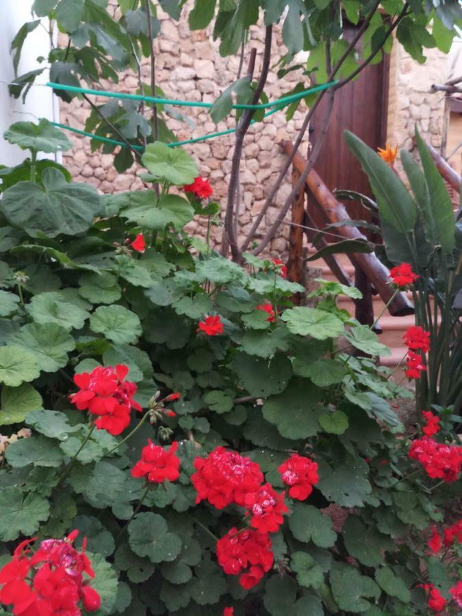 Mystery Garden Guest House Фамагуста Экстерьер фото